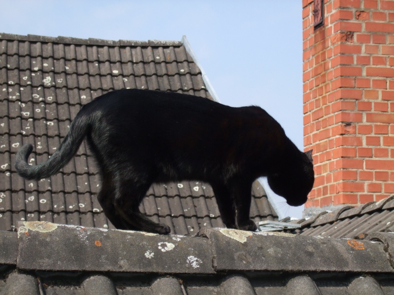 Ostern 2007 Orleshausen 134 